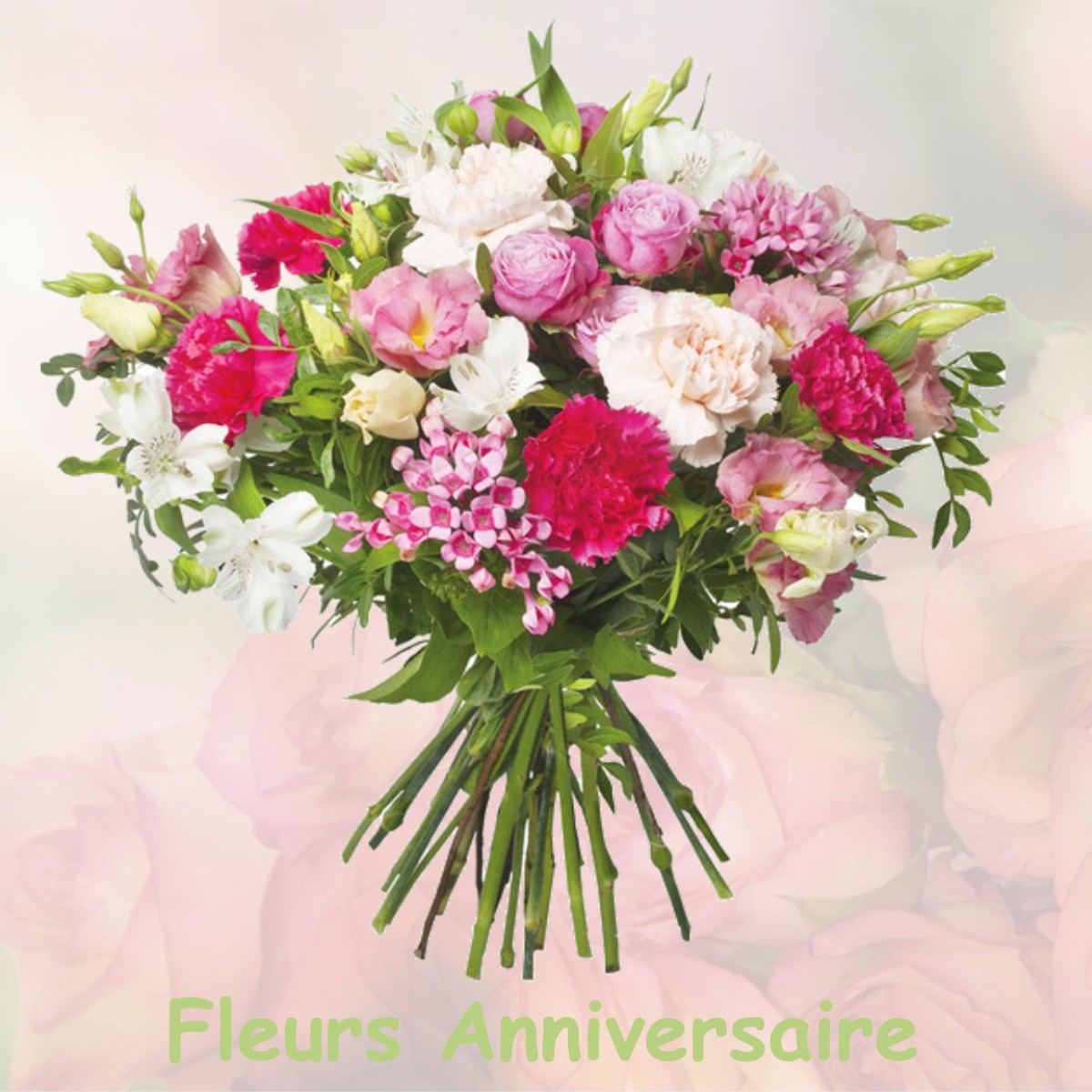 fleurs anniversaire SERRES-SUR-ARGET