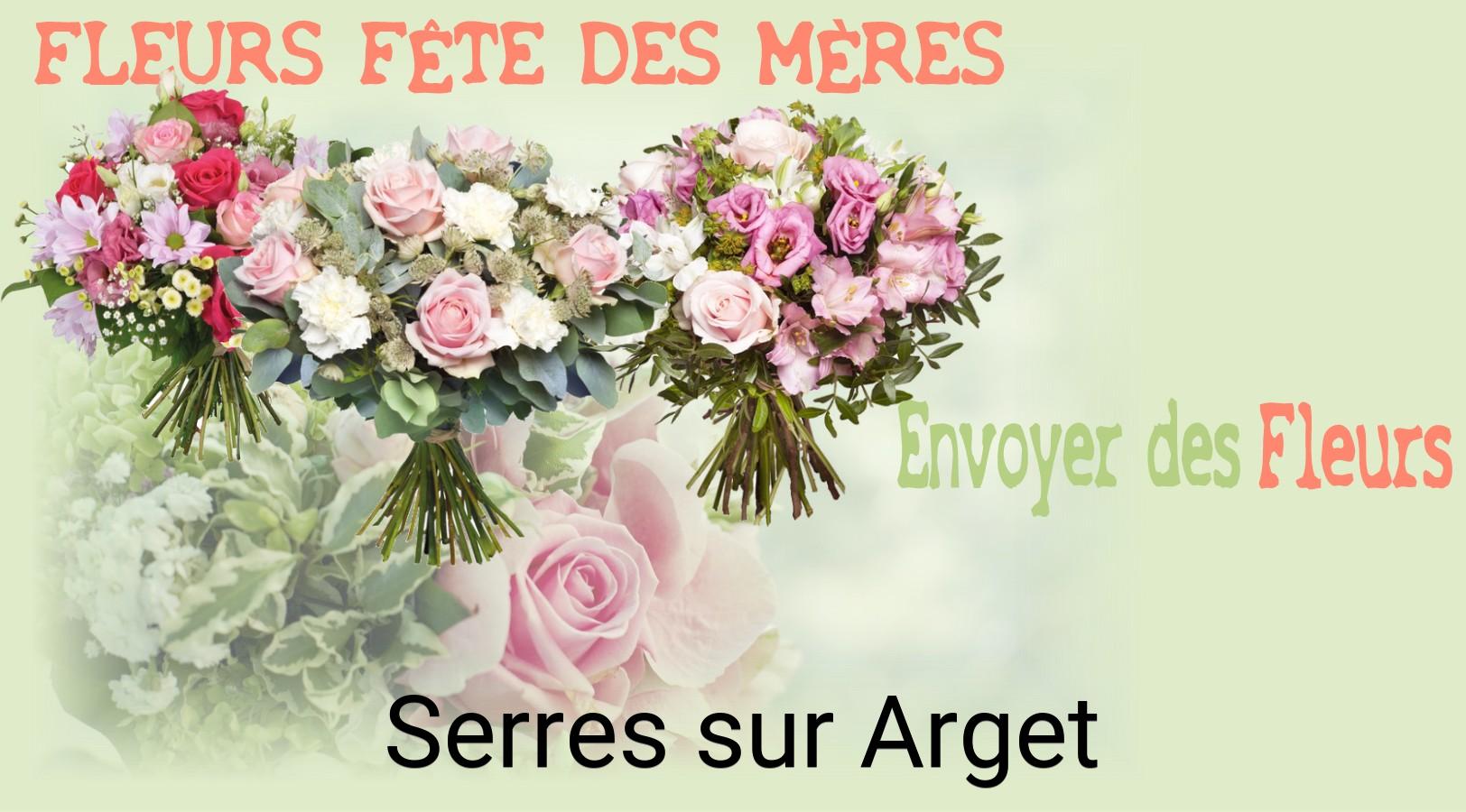 Bouquet de Fête des Mères livré à Serres-sur-Arget